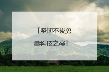坚韧不拔勇攀科技之巅
