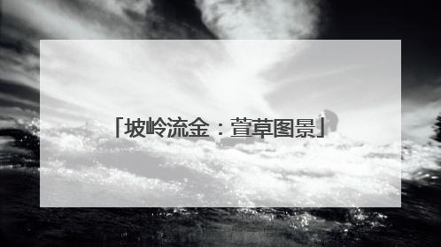 坡岭流金：萱草图景