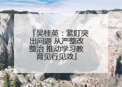 吴桂英：紧盯突出问题 从严整改整治 推动学习教育见行见效