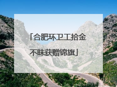 合肥环卫工拾金不昧获赠锦旗
