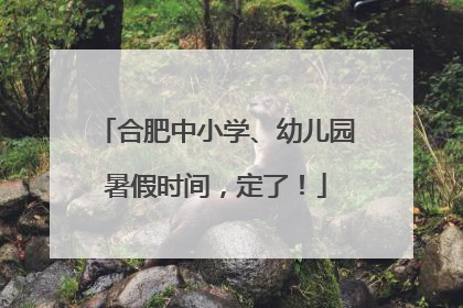 合肥中小学、幼儿园暑假时间，定了！