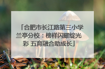 合肥市长江路第三小学兰亭分校：榜样闪耀绽光彩 五育融合助成长