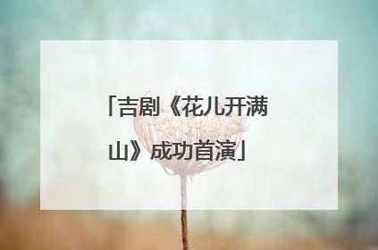 吉剧《花儿开满山》成功首演