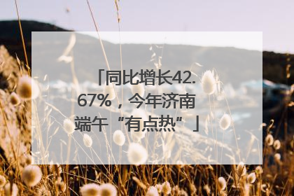 同比增长42.67%，今年济南端午“有点热”
