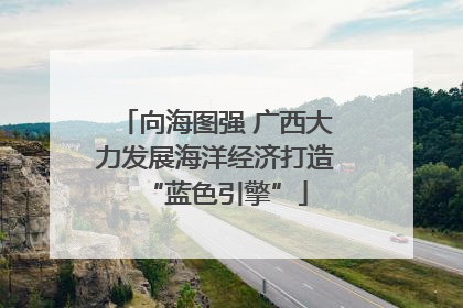 向海图强 广西大力发展海洋经济打造“蓝色引擎”