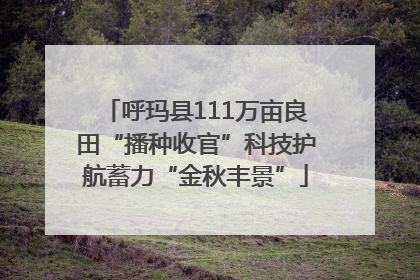 呼玛县111万亩良田“播种收官”科技护航蓄力“金秋丰景”