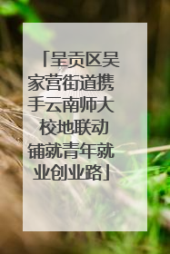 呈贡区吴家营街道携手云南师大 校地联动铺就青年就业创业路
