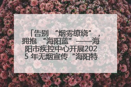 告别 “烟雾缭绕”，拥抱 “海阳蓝”——海阳市疾控中心开展2025 年无烟宣传“海阳特色”实践记录
