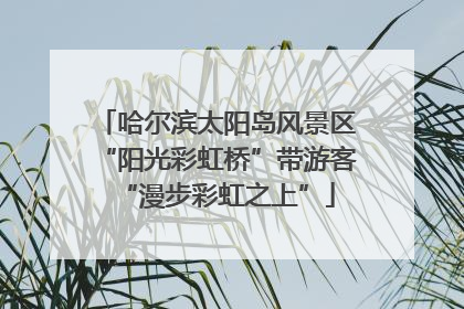 哈尔滨太阳岛风景区“阳光彩虹桥”带游客“漫步彩虹之上”
