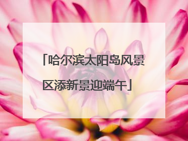哈尔滨太阳岛风景区添新景迎端午