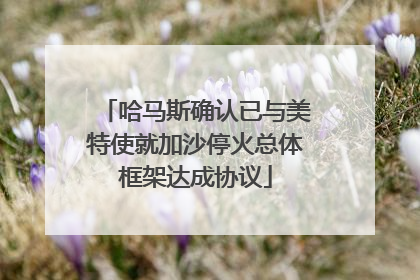 哈马斯确认已与美特使就加沙停火总体框架达成协议