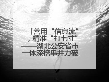 善用“信息流”，精准“打七寸”——湖北公安省市一体深挖串并力破民生案