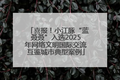 喜报！小江豚“蓝叒叒”入选2025年网络文明国际交流互鉴城市典型案例
