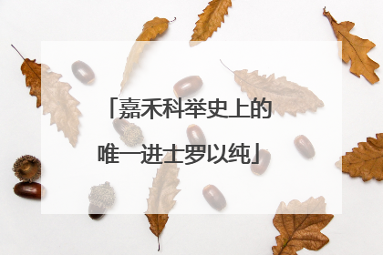 嘉禾科举史上的唯一进士罗以纯