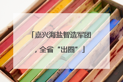 嘉兴海盐智造军团，全省“出圈”