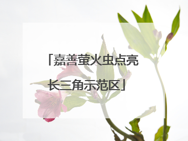 嘉善萤火虫点亮长三角示范区