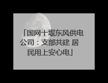 国网十堰东风供电公司：支部共建 居民用上安心电