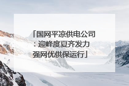 国网平凉供电公司：迎峰度夏齐发力 强网优供保运行