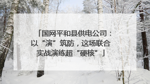 国网平和县供电公司：以“演”筑防，这场联合实战演练超“硬核”