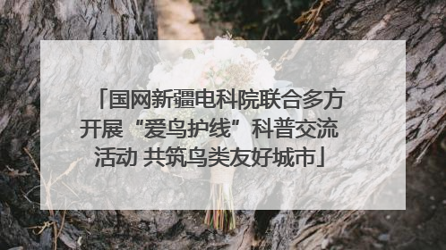 国网新疆电科院联合多方开展“爱鸟护线”科普交流活动 共筑鸟类友好城市