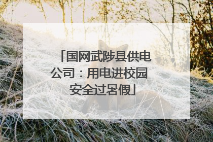 国网武陟县供电公司：用电进校园  安全过暑假