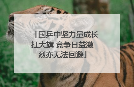 国乒中坚力量成长扛大旗 竞争日益激烈亦无法回避