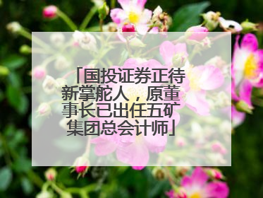 国投证券正待新掌舵人，原董事长已出任五矿集团总会计师