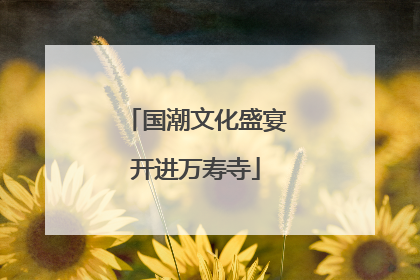 国潮文化盛宴开进万寿寺