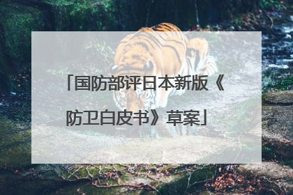 国防部评日本新版《防卫白皮书》草案