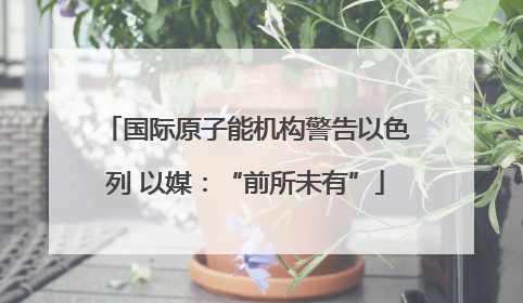 国际原子能机构警告以色列 以媒：“前所未有”
