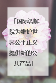 国际调解院为维护世界公平正义提供新的公共产品