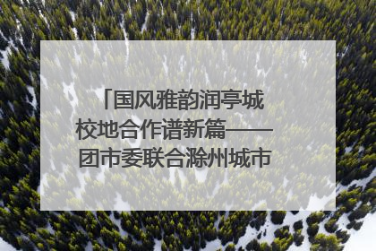 国风雅韵润亭城 校地合作谱新篇——团市委联合滁州城市职业学院助力传统文化“破圈”绽放