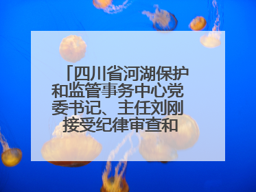 四川省河湖保护和监管事务中心党委书记、主任刘刚 接受纪律审查和监察调查