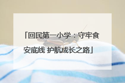 回民第一小学：守牢食安底线 护航成长之路