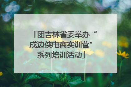 团吉林省委举办“戍边侠电商实训营”系列培训活动