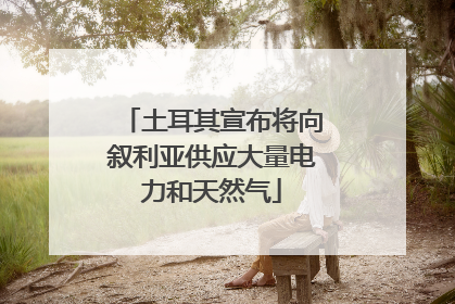 土耳其宣布将向叙利亚供应大量电力和天然气