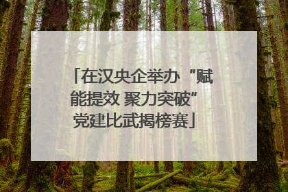 在汉央企举办“赋能提效 聚力突破”党建比武揭榜赛