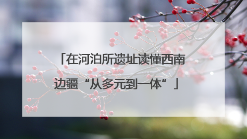 在河泊所遗址读懂西南边疆“从多元到一体”
