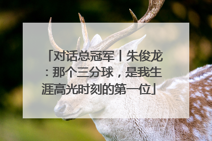 对话总冠军丨朱俊龙：那个三分球，是我生涯高光时刻的第一位