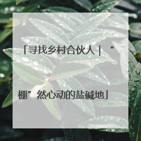 寻找乡村合伙人｜“棚”然心动的盐碱地