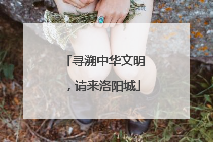 寻溯中华文明，请来洛阳城