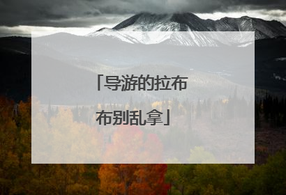 导游的拉布布别乱拿
