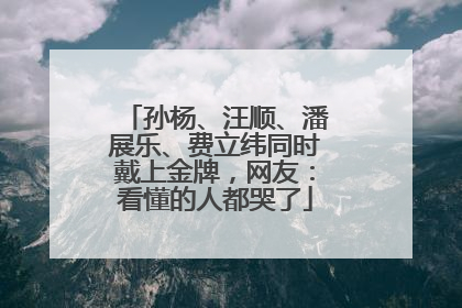 孙杨、汪顺、潘展乐、费立纬同时戴上金牌，网友：看懂的人都哭了