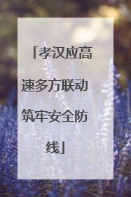 孝汉应高速多方联动筑牢安全防线