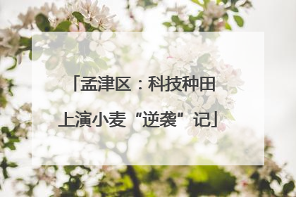 孟津区：科技种田 上演小麦“逆袭”记