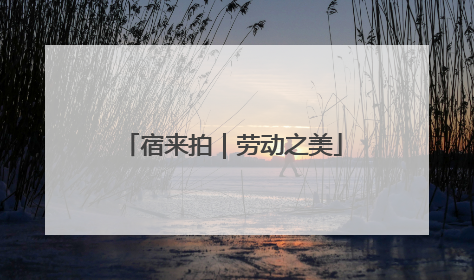 宿来拍｜劳动之美