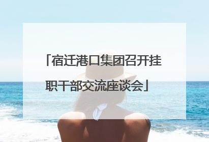 宿迁港口集团召开挂职干部交流座谈会