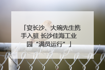 宴长沙、大碗先生携手入驻 长沙佳海工业园“满员运行”