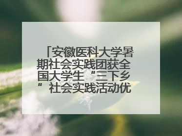 安徽医科大学暑期社会实践团获全国大学生“三下乡”社会实践活动优秀团队