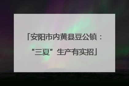 安阳市内黄县豆公镇：“三夏”生产有实招